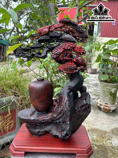 Cây Tùng Hạc Gỗ Trắc Cao Cả Kỷ 59 Ngang 36 Sâu 22 (cm)